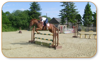 Equestrian Surfaces 0001.JPG