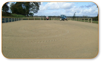 Equestrian Surfaces 0007.JPG