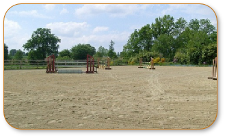 Equestrian Surfaces 0003.JPG