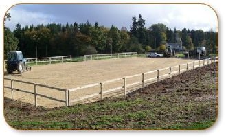 Equestrian Surfaces 0008.JPG