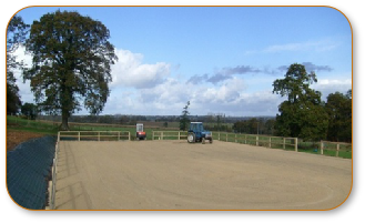 Equestrian Surfaces 0006.JPG