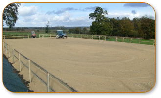 Equestrian Surfaces 0005.JPG